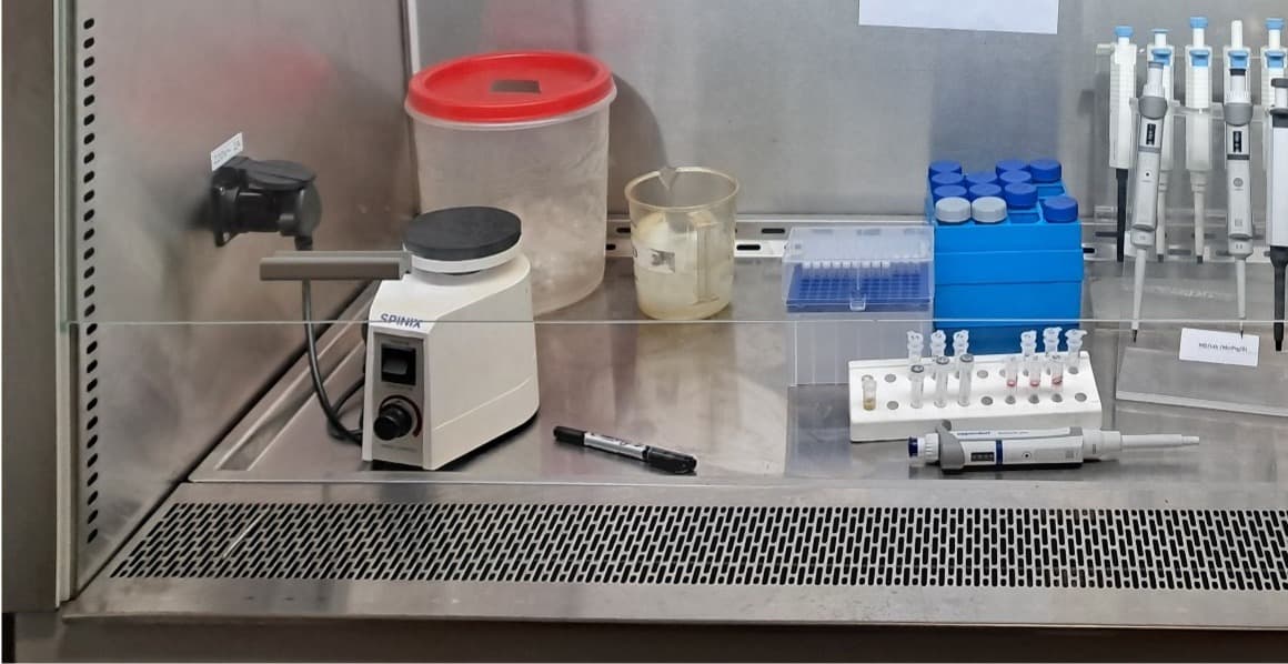Sample processing — lab workspace