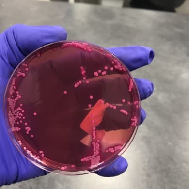 Sample characterization — in the lab